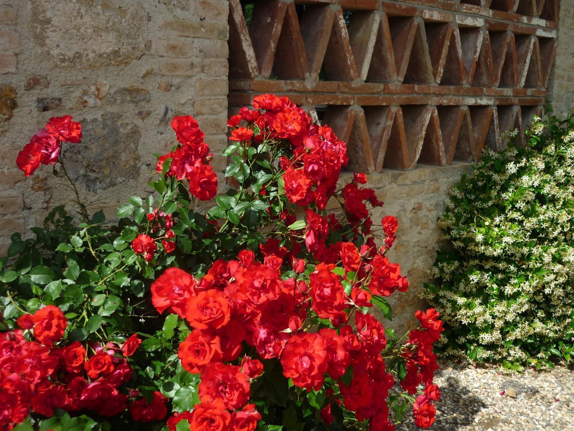 Fattoria Agriturismo Nerbona Casole d'Elsa Exterior photo