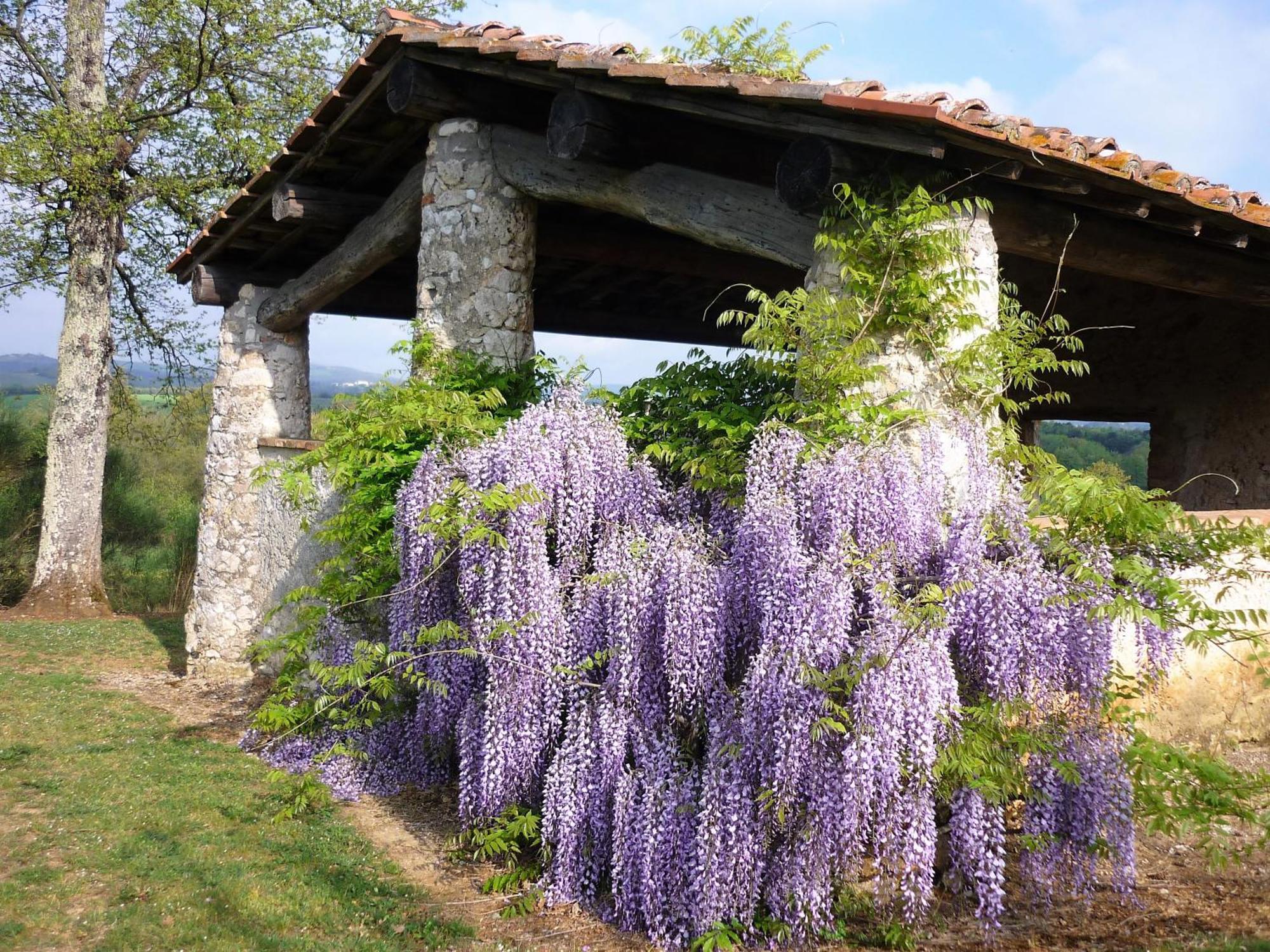 Fattoria Agriturismo Nerbona Casole d'Elsa Exterior photo